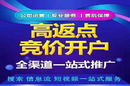 案例剖析：百度推广返点的应用与成效